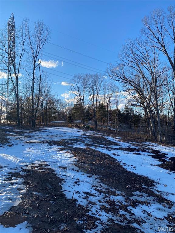 8819 Helujon Acres Dr, Hillsboro, MO 63050 - photo 16