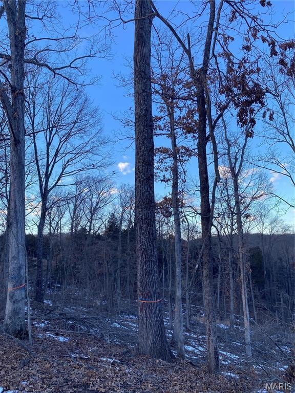 8819 Helujon Acres Dr, Hillsboro, MO 63050 - photo 18