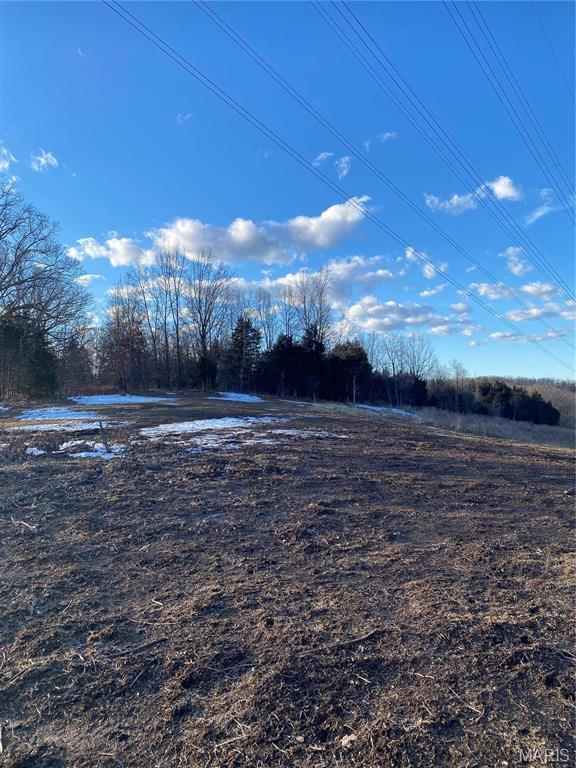 8819 Helujon Acres Dr, Hillsboro, MO 63050 - photo 20