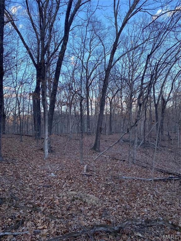 8819 Helujon Acres Dr, Hillsboro, MO 63050 - photo 23