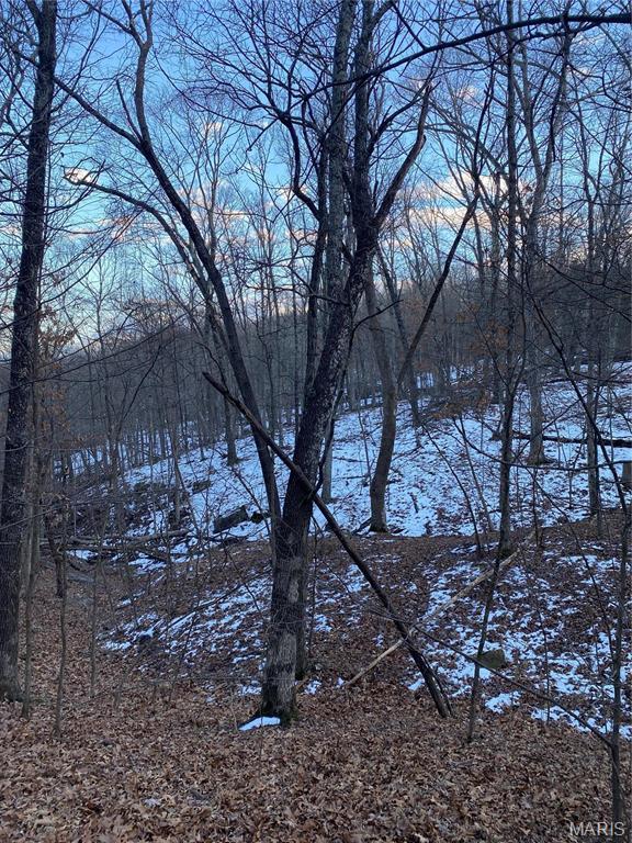 8819 Helujon Acres Dr, Hillsboro, MO 63050 - photo 24