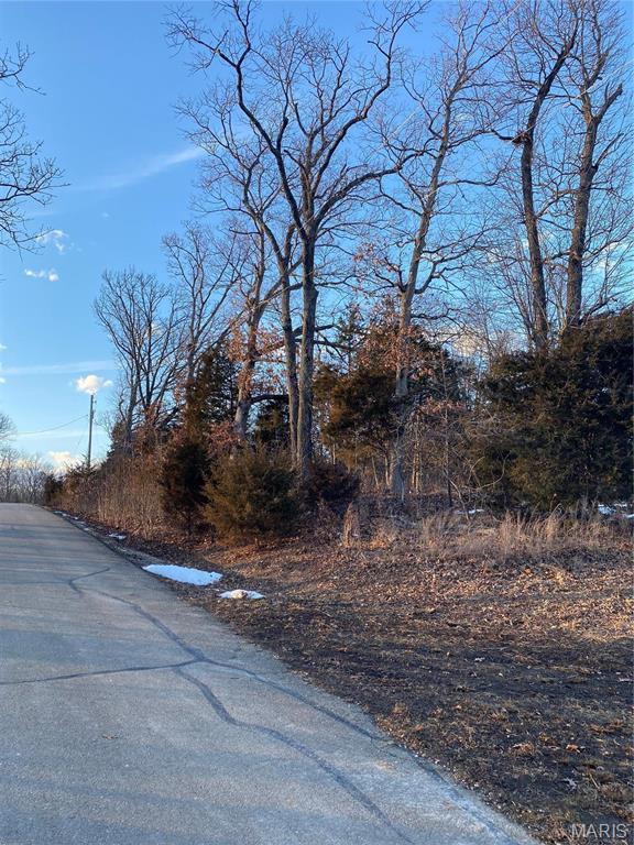 8819 Helujon Acres Dr, Hillsboro, MO 63050 - photo 36