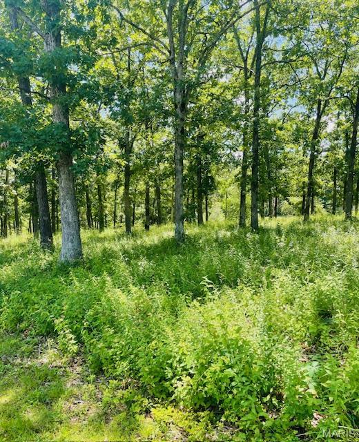 0 Krausetown Rd, Owensville, MO 65066 - photo 1