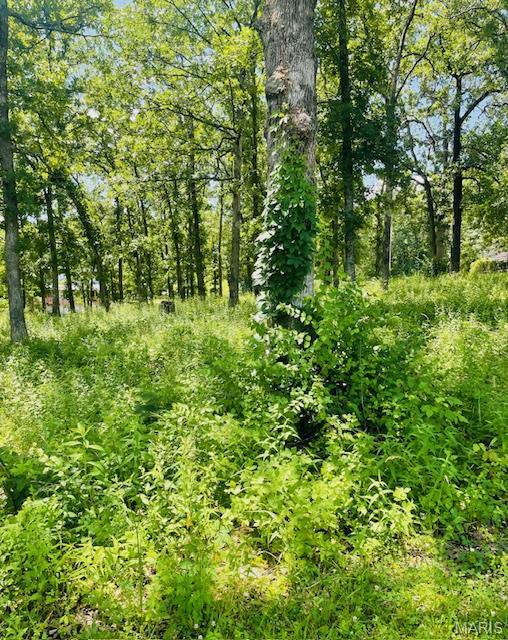 0 Krausetown Rd, Owensville, MO 65066 - photo 2