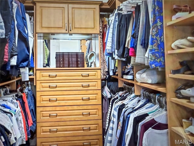 259 Meadowbrook Country Club Est, Ballwin, MO 63011 - view of spacious closet
