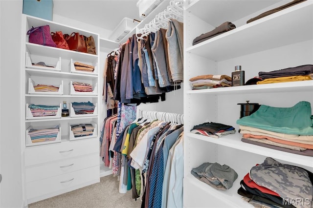 1001 Windsor Crest Ct, Cottleville, MO 63376 - spacious closet with carpet