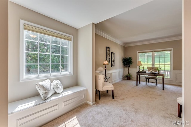 1515 Dietrich Glen Dr, Ballwin, MO 63021 - living area with crown molding, a desk, carpet flooring, a decorative wall, and a wainscoted wall