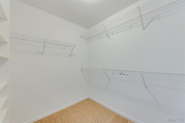 1515 Dietrich Glen Dr, Ballwin, MO 63021 - walk in closet with light carpet