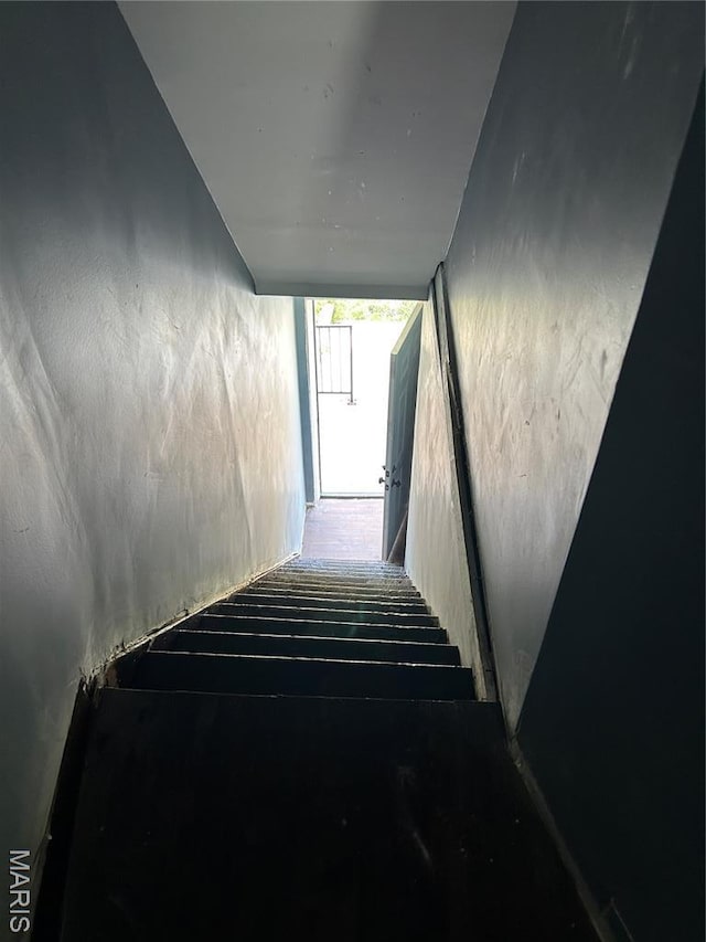 3436 Pennsylvania Ave Unit A-B, Saint Louis, MO 63118 - photo 10