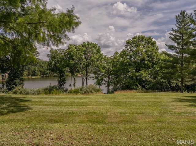 15 Lionshead Ridge Dr Unit 15, Innsbrook, MO 63390 - view of green lawn with a water view