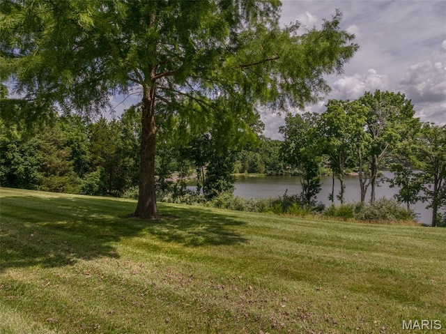 15 Lionshead Ridge Dr Unit 15, Innsbrook, MO 63390 - view of green lawn with a water view