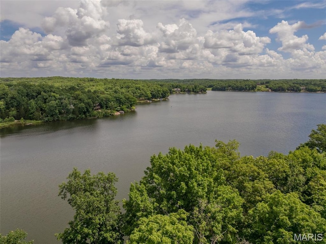 15 Lionshead Ridge Dr Unit 15, Innsbrook, MO 63390 - water view with a forest