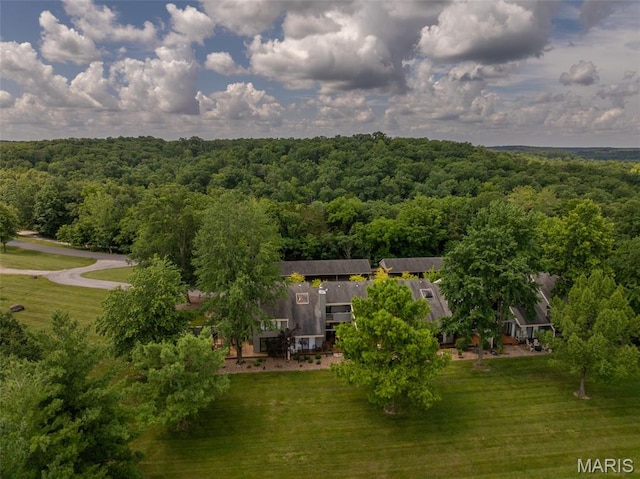 15 Lionshead Ridge Dr Unit 15, Innsbrook, MO 63390 - view of subject property with a forest