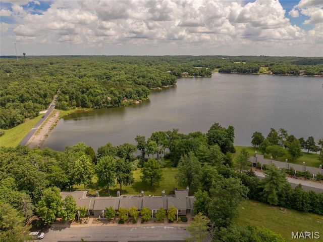 15 Lionshead Ridge Dr Unit 15, Innsbrook, MO 63390 - drone / aerial view of a large body of water and a forest