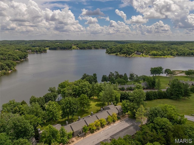 15 Lionshead Ridge Dr Unit 15, Innsbrook, MO 63390 - drone / aerial view of a nearby body of water and a heavily wooded area