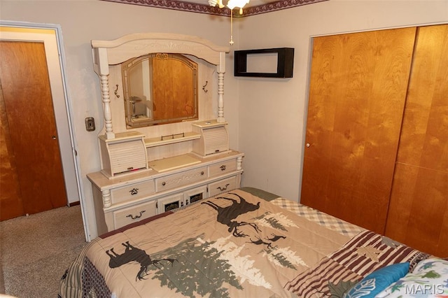 49 Bedford Dr, Belleville, IL 62226 - carpeted bedroom featuring a closet