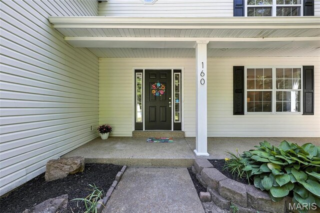 160 Hinrichs Ln, Arnold, MO 63010 - photo 3