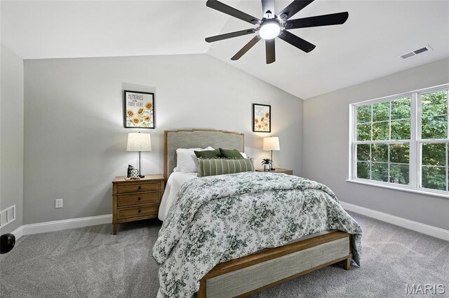 160 Hinrichs Ln, Arnold, MO 63010 - photo 34