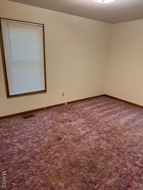 7 Forest Hills Dr, Washington, MO 63090 - spare room featuring carpet floors and a textured ceiling