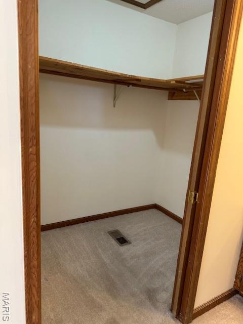 7 Forest Hills Dr, Washington, MO 63090 - spacious closet with light carpet
