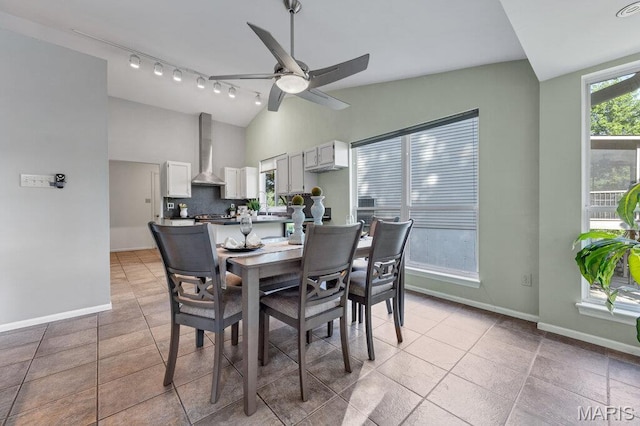 510 Wetherby Terrace Dr, Ballwin, MO 63021 - dining area with a ceiling fan, lofted ceiling, rail lighting, and light tile patterned floors
