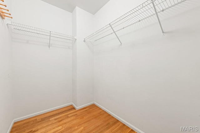 510 Wetherby Terrace Dr, Ballwin, MO 63021 - spacious closet featuring light wood finished floors