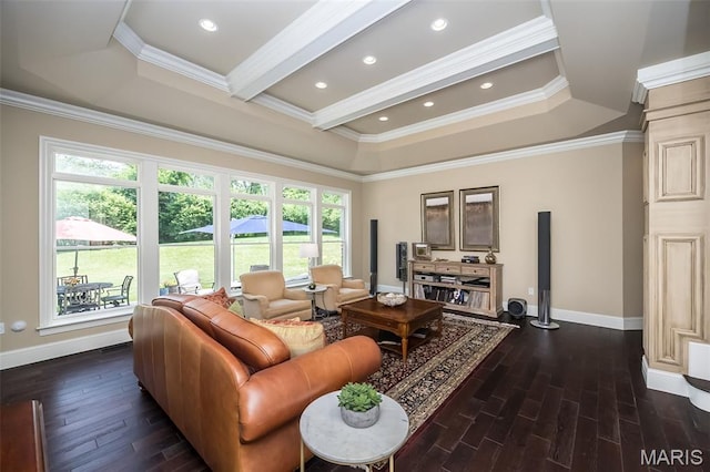 21 Lynnbrook Rd, Saint Louis, MO 63131 - living area featuring dark wood-style floors, ornamental molding, and recessed lighting