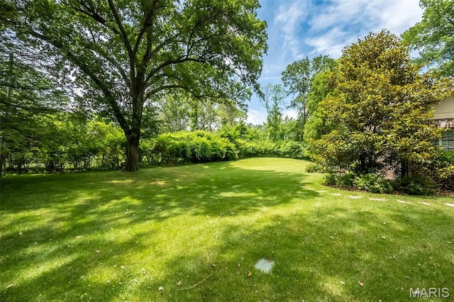 21 Lynnbrook Rd, Saint Louis, MO 63131 - view of grassy yard