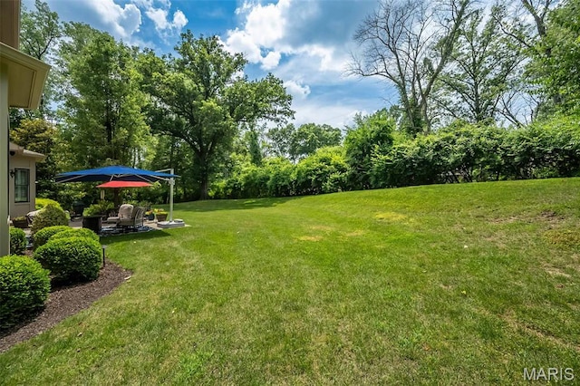 21 Lynnbrook Rd, Saint Louis, MO 63131 - view of grassy yard with a patio