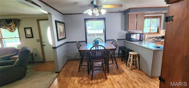 8739 Shawneetown Trl, Chester, IL 62233 - dining room featuring crown molding, healthy amount of natural light, light wood-style flooring, ceiling fan, and a textured ceiling