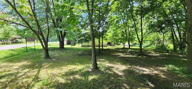 8739 Shawneetown Trl, Chester, IL 62233 - view of green lawn