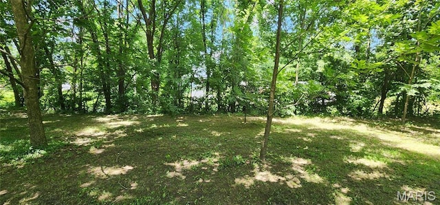 8739 Shawneetown Trl, Chester, IL 62233 - view of yard