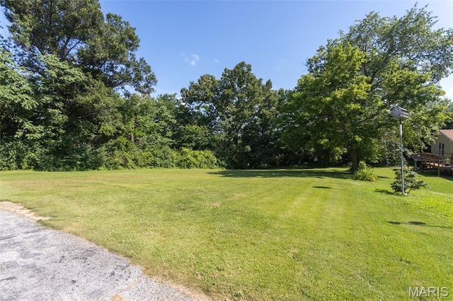 122 Olive St, Festus, MO 63028 - photo 26
