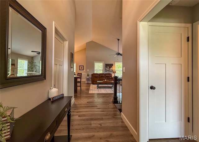 358 N Thomas St, De Soto, MO 63020 - hall with plenty of natural light, wood finished floors, and vaulted ceiling
