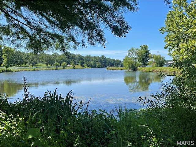 509 Lake Shore Dr, Saint Clair, MO 63077 - photo 29
