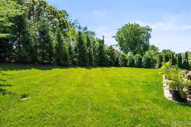5 Downey Ln, Olivette, MO 63132 - photo 64