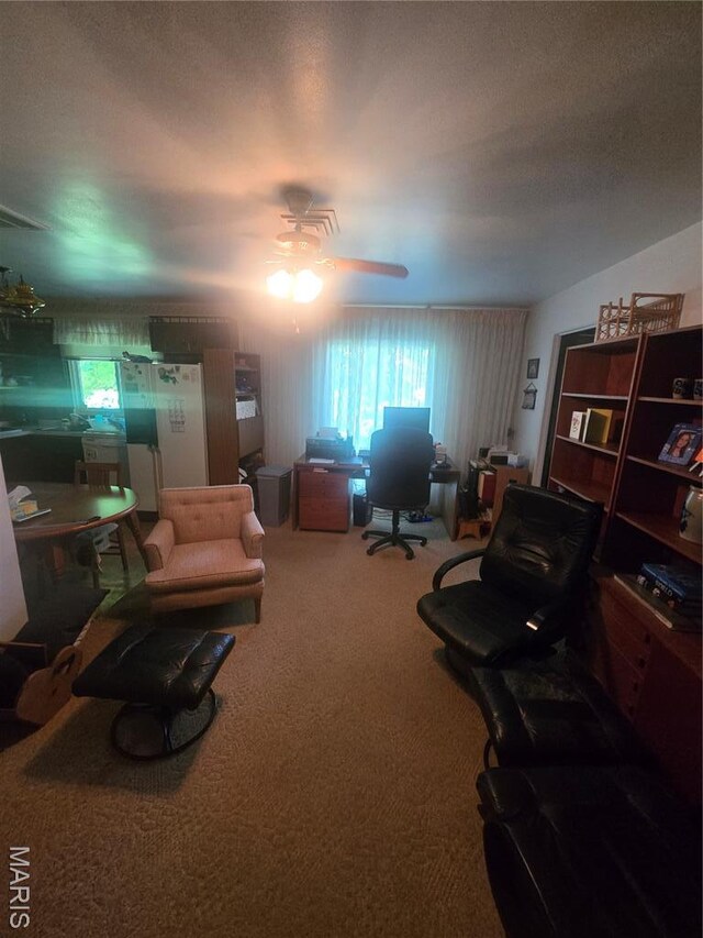 7 Milbrook Ln, Florissant, MO 63033 - photo 4