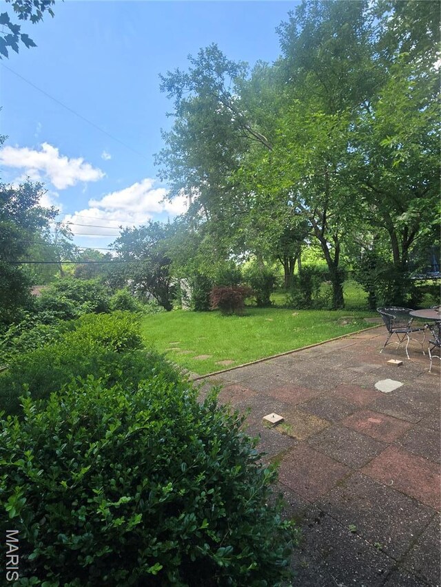 7 Milbrook Ln, Florissant, MO 63033 - photo 21