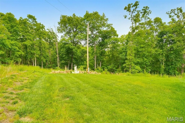 3204 Westwood Rd, Saint Clair, MO 63077 - view of yard with a wooded view