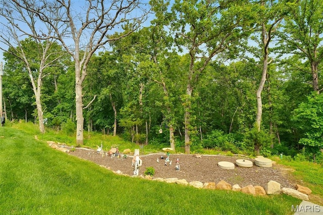 3204 Westwood Rd, Saint Clair, MO 63077 - view of green lawn