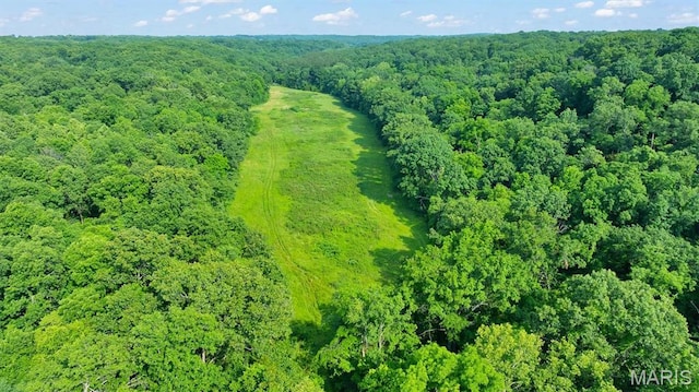 3080 Westwood Rd, Saint Clair, MO 63077 - aerial view of property and surrounding area with a forest