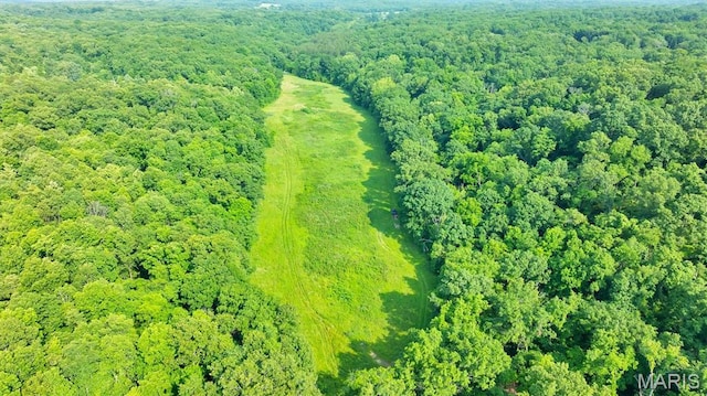 3080 Westwood Rd, Saint Clair, MO 63077 - aerial view of a forest