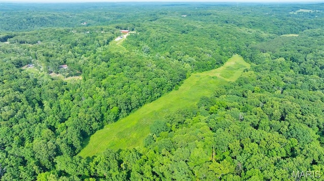 3080 Westwood Rd, Saint Clair, MO 63077 - aerial view of property's location with a forest