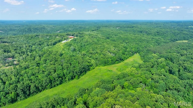 3080 Westwood Rd, Saint Clair, MO 63077 - bird's eye view of a forest