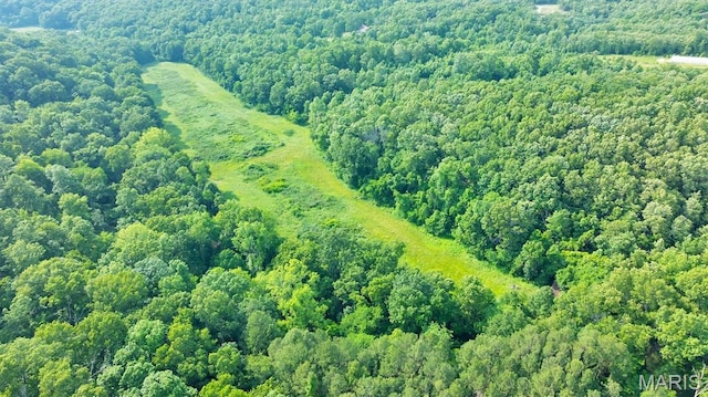 3080 Westwood Rd, Saint Clair, MO 63077 - bird's eye view of a forest