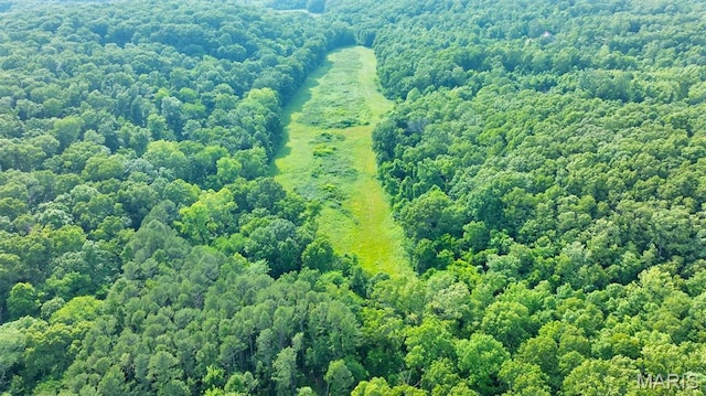 3080 Westwood Rd, Saint Clair, MO 63077 - bird's eye view of a forest