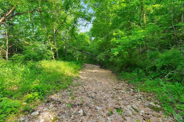 3080 Westwood Rd, Saint Clair, MO 63077 - view of woods