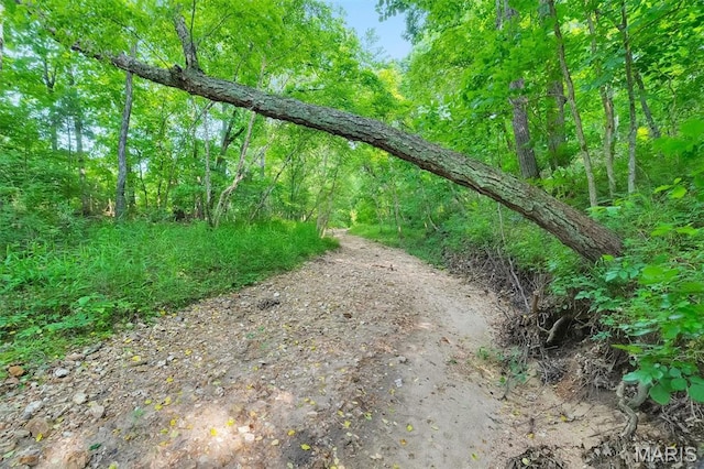 3080 Westwood Rd, Saint Clair, MO 63077 - view of road with a view of trees