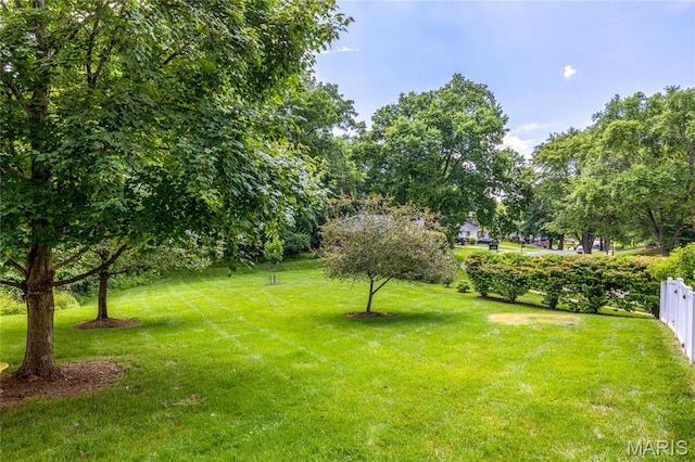 1905 King Arthur Ct, Maryland Heights Township, MO 63146 - view of yard