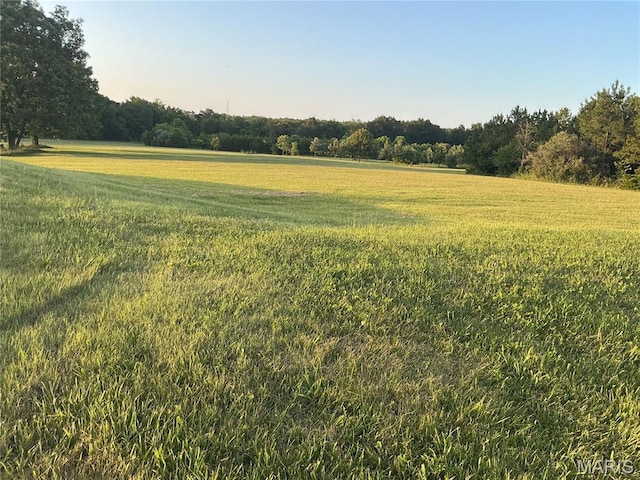11996 County Road 3290, Rolla, MO 65401 - view of local wilderness